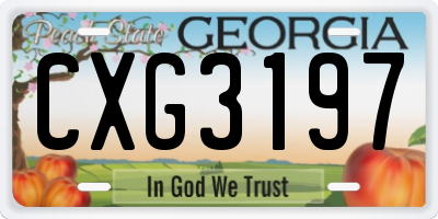GA license plate CXG3197