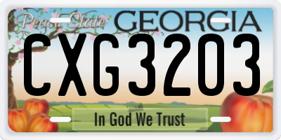 GA license plate CXG3203