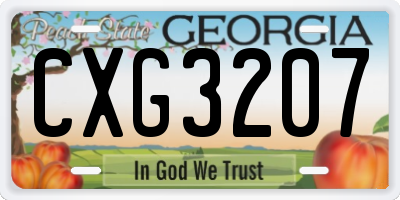 GA license plate CXG3207
