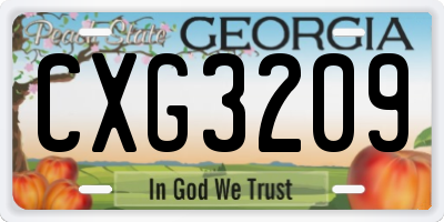 GA license plate CXG3209
