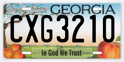 GA license plate CXG3210