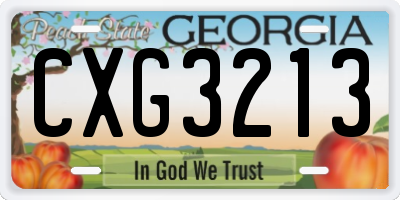 GA license plate CXG3213