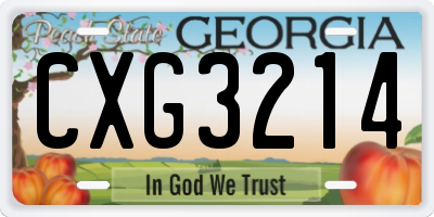 GA license plate CXG3214