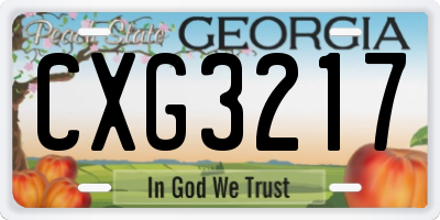 GA license plate CXG3217