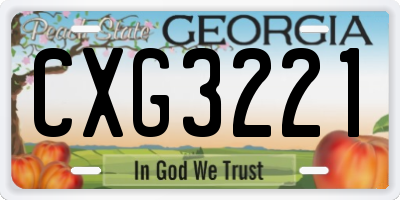 GA license plate CXG3221