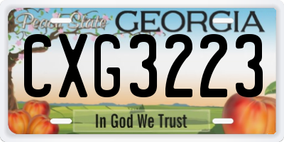 GA license plate CXG3223
