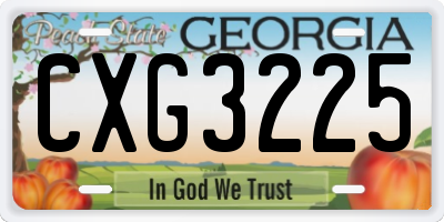 GA license plate CXG3225