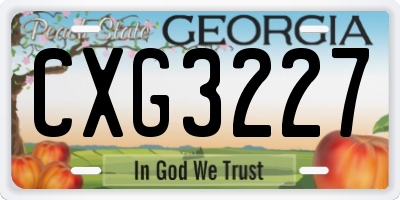 GA license plate CXG3227