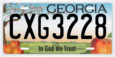 GA license plate CXG3228
