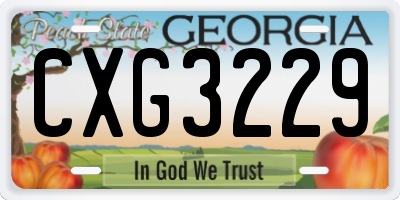 GA license plate CXG3229