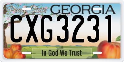 GA license plate CXG3231