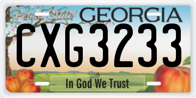 GA license plate CXG3233