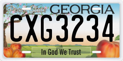 GA license plate CXG3234
