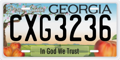 GA license plate CXG3236