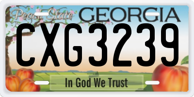 GA license plate CXG3239