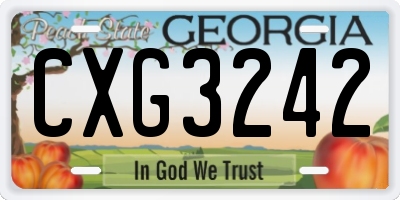 GA license plate CXG3242
