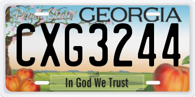GA license plate CXG3244