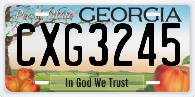 GA license plate CXG3245