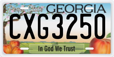 GA license plate CXG3250