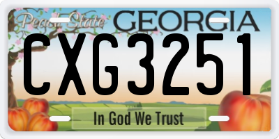 GA license plate CXG3251