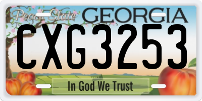 GA license plate CXG3253
