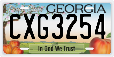 GA license plate CXG3254