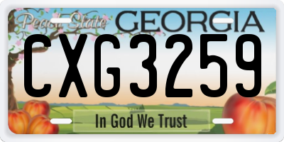 GA license plate CXG3259