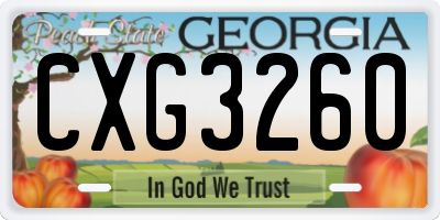 GA license plate CXG3260
