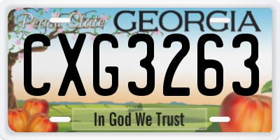 GA license plate CXG3263