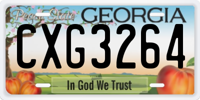GA license plate CXG3264