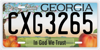 GA license plate CXG3265