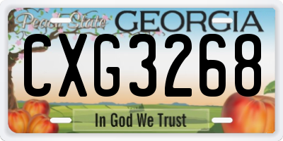 GA license plate CXG3268