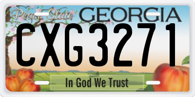 GA license plate CXG3271