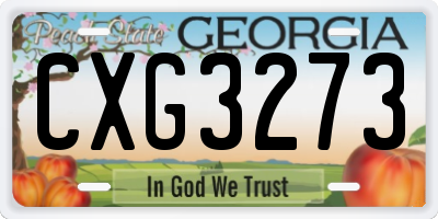 GA license plate CXG3273