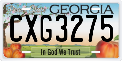 GA license plate CXG3275