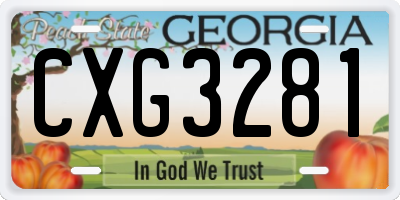 GA license plate CXG3281