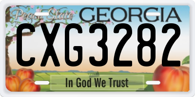 GA license plate CXG3282