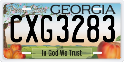 GA license plate CXG3283