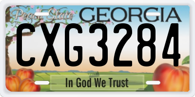 GA license plate CXG3284