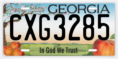 GA license plate CXG3285