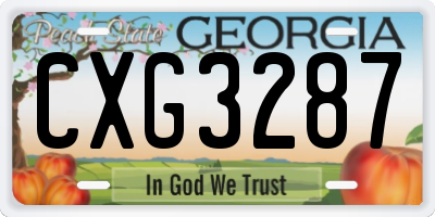 GA license plate CXG3287