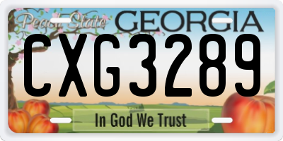 GA license plate CXG3289