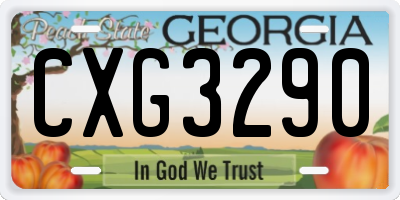 GA license plate CXG3290