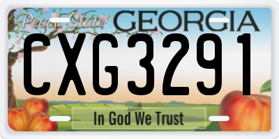 GA license plate CXG3291