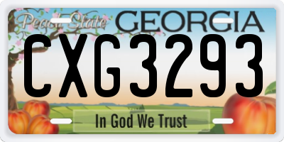 GA license plate CXG3293