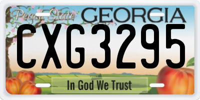 GA license plate CXG3295