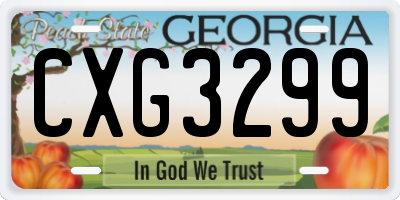 GA license plate CXG3299