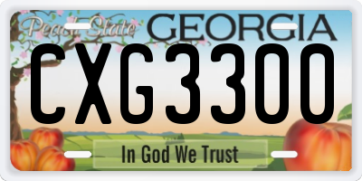 GA license plate CXG3300