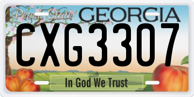 GA license plate CXG3307