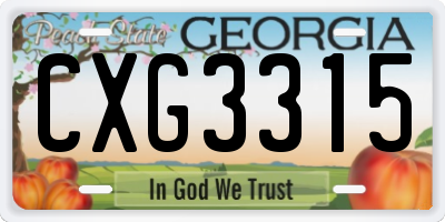 GA license plate CXG3315